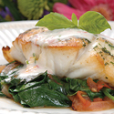 Florida Grouper Coconut Florentine